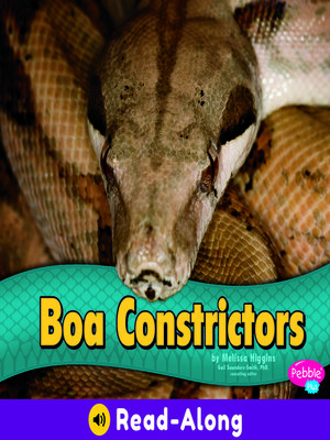 cover image of Boa Constrictors